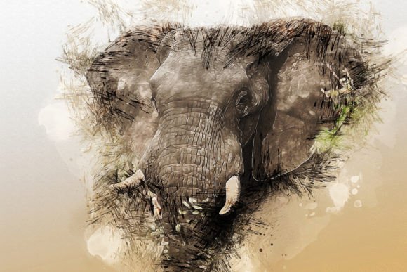 Download Printable Animal Graphics #19 - Animal graphics Collection