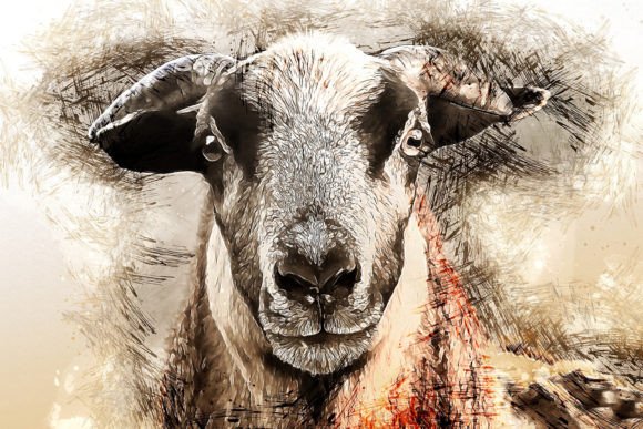 Download Printable Animal Graphics #28 - Animal graphics Collection