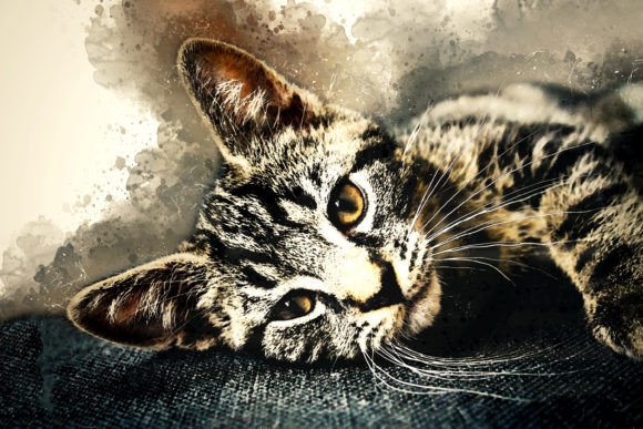 Download Printable Animal Graphics #08 - Animal graphics Collection