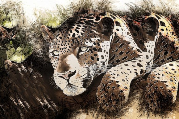 Download Printable Animal Graphics #27 - Animal graphics Collection