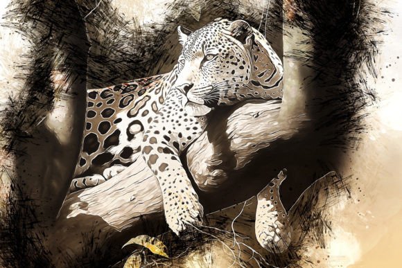 Download Printable Animal Graphics #26 - Animal graphics Collection